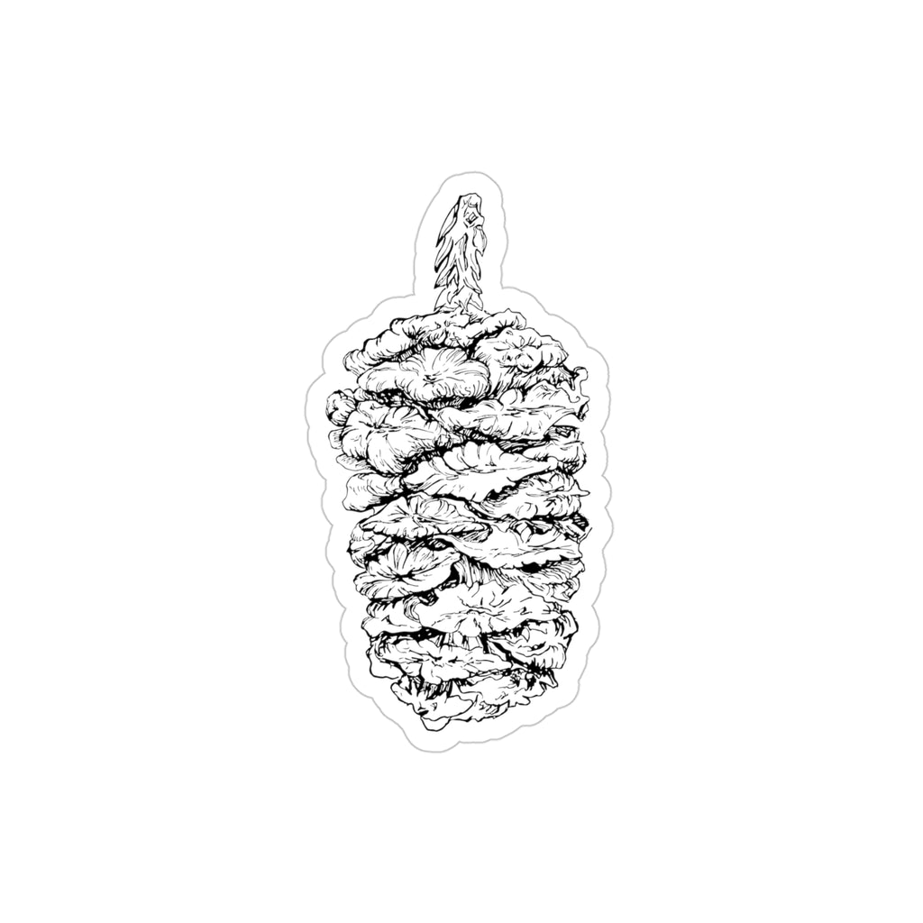Transparent Sticker - Sequoiadendron giganteum / Giant Sequoia Cone