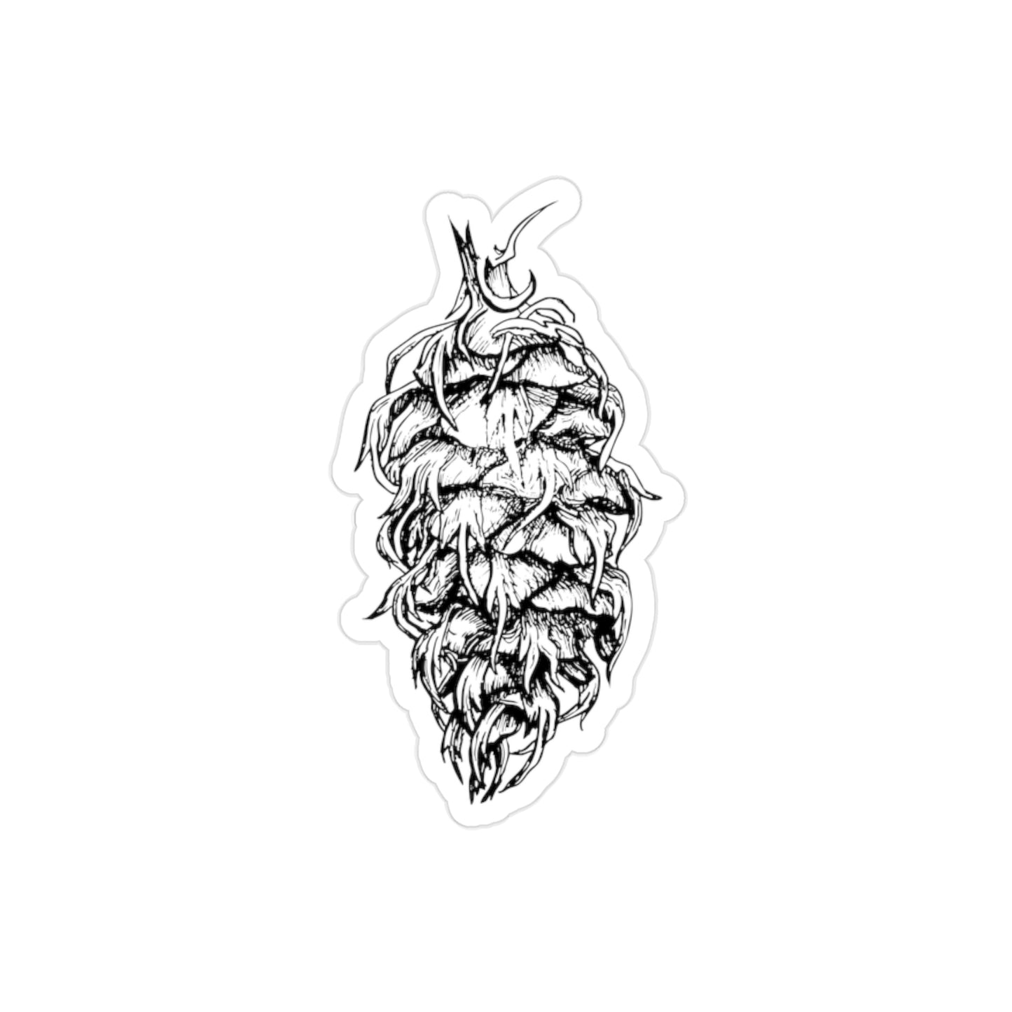 Transparent Sticker - Pseudotsuga menziesii / Douglas-fir Cone