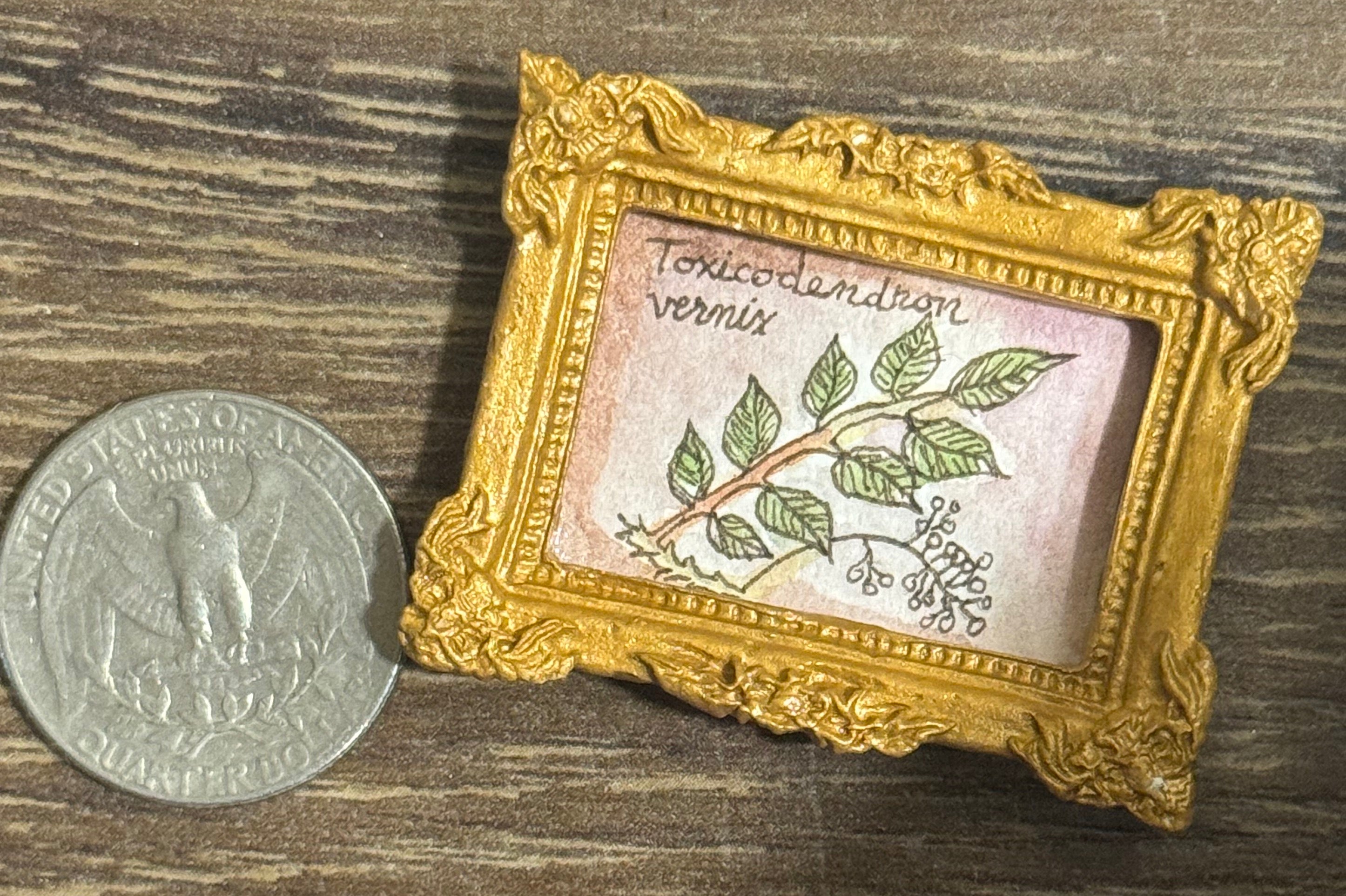 Mini Painting - Taxicodendron vernix / Posion Sumac