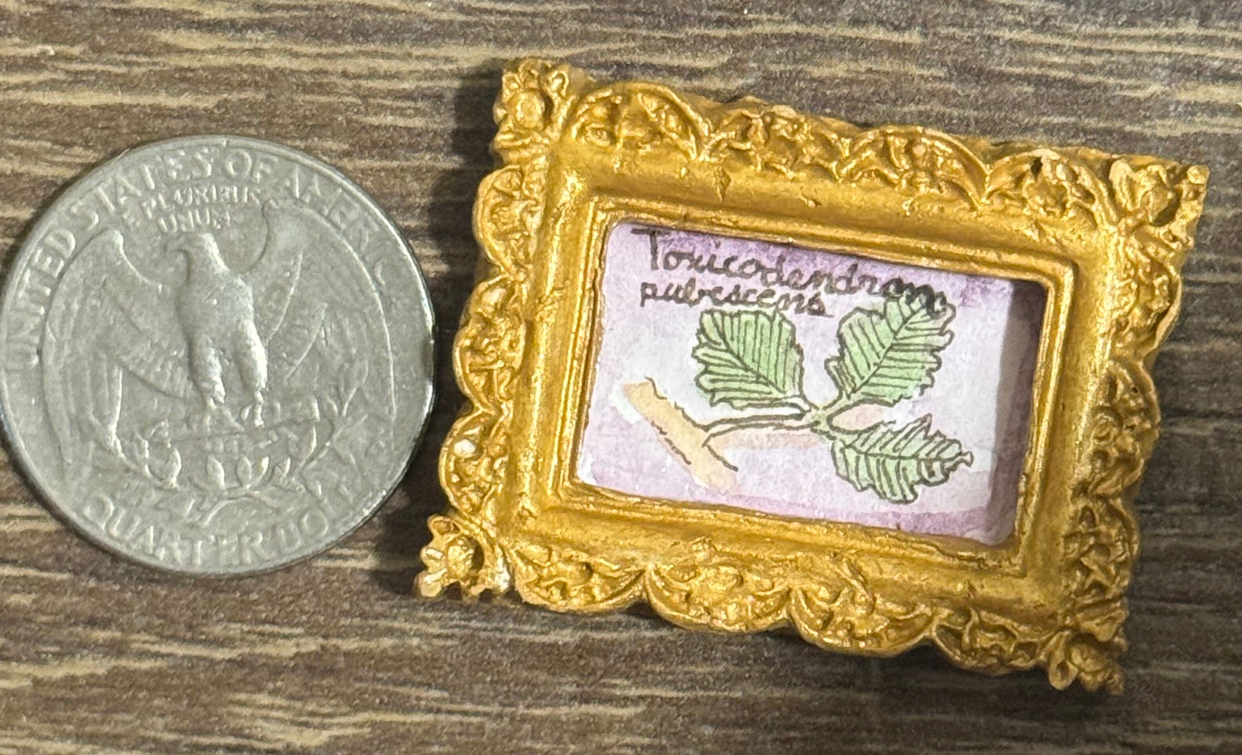 Mini Painting - Toxicodendron pubescens / Posion Oak